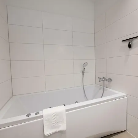 Kegelrobbe